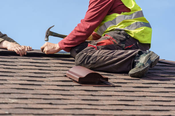 Best Roof Gutter Cleaning  in Union Beach, NJ